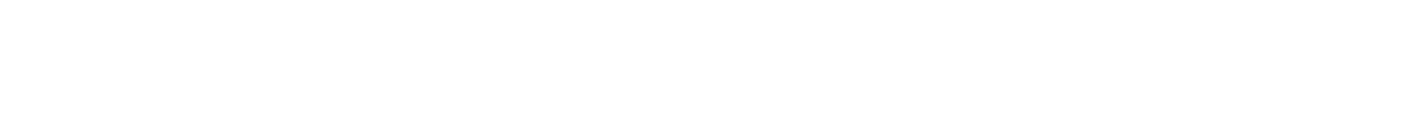 CounterShot Systems